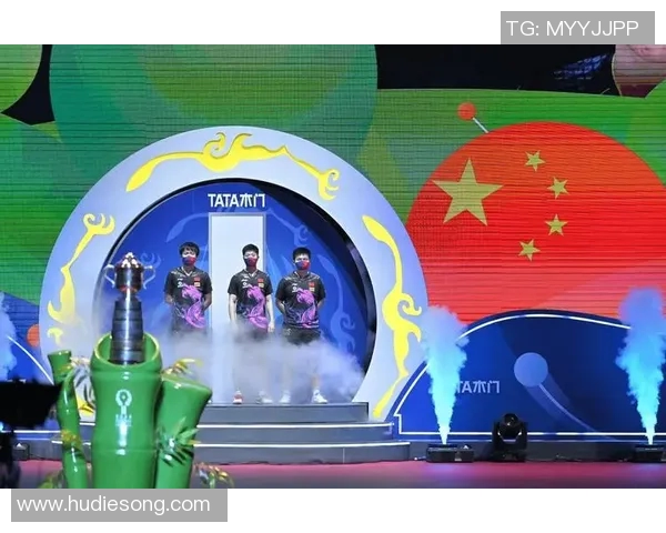 成都排球队的拼搏历程与荣耀之路全景回顾