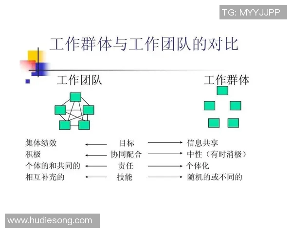 杭州篮球队团队协作深度解析与其他球队的对比研究 杭州篮球队团队协作深度解析与其他球队的对比研究